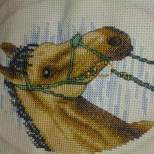 Работа «horse»