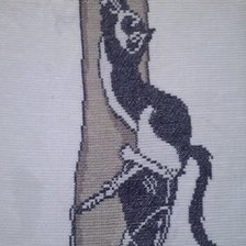 Работа «Кот на колготке»