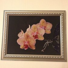 Работа «Орхидеи»