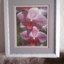 Работа «Орхидеи»