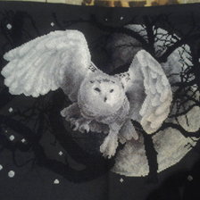 Работа «Белая Сова»