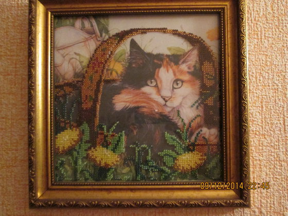 Работа «кошечка»