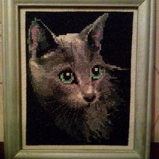 Работа «Рикки»