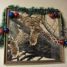 Работа «937 Леопард (Riolis)»