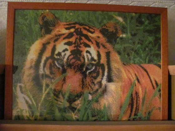 Работа «Тигр»