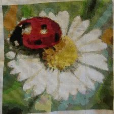 Работа «Первая работа»