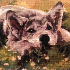 Работа «Волчёнок»