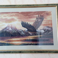 Работа «№36267»