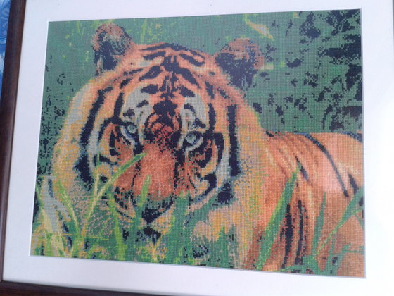 Работа «№36395»