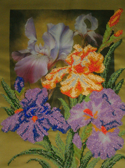 Работа «ирисы_1»