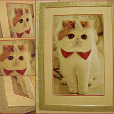 Работа «Котик»