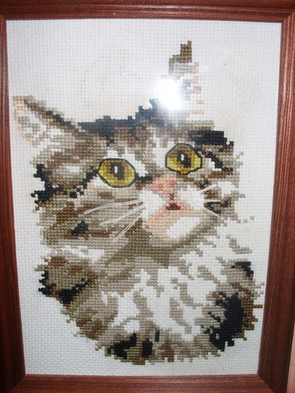 Работа «Котик»