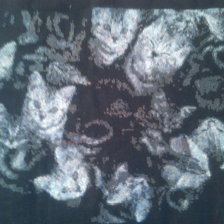 Работа «котики»