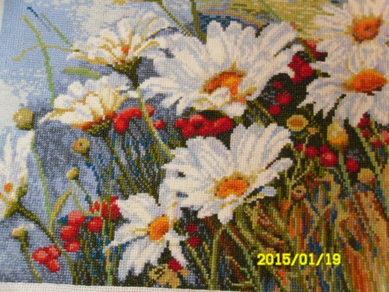 Работа «Ромашковое поле»