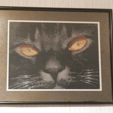 Работа «Черный кот»