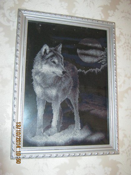 Работа «Одинокий волк»