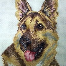 Работа «Овчарка»