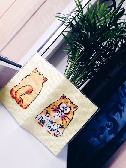 Работа «Моя готовенькая обложка на паспорт "КОТ"»