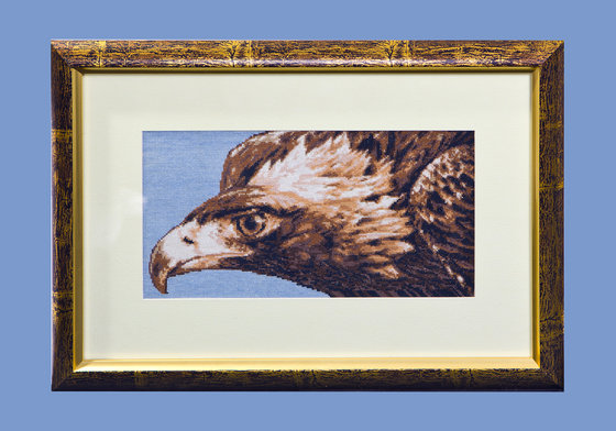 Работа «Взор орла.»