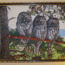 Работа «совята»