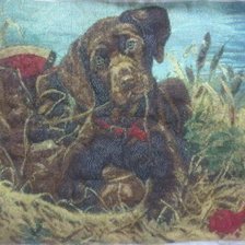 Работа «№38556»