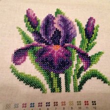 Работа «Ирис бисером от Кларт»