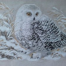 Работа «Совушка»