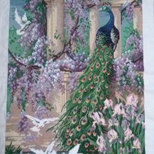 Работа «павлин и голуби»