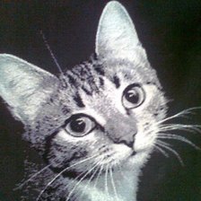 Работа «Вася»