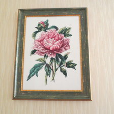 Работа «Пион»