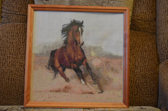 Работа «Подарок зятю»