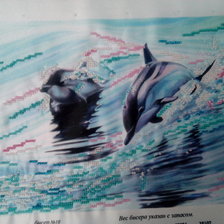 Работа «Дельфины»