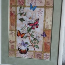 Работа «Дим "Праздник великолепных бабочек"»