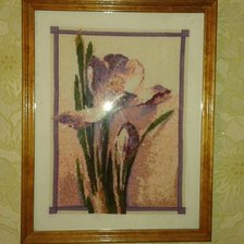 Работа «Крокус»