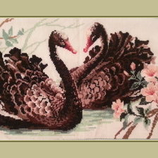 Работа «Черные лебеди»