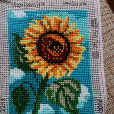 Работа «Подсолнух, 15*20 см»