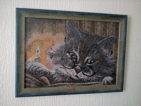 Работа «Кот ученый»