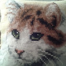 Работа «Котик»