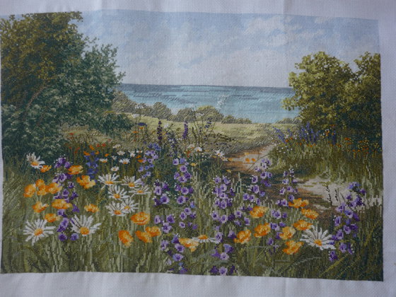 Работа «Тропинка к морю.  (АНКОР)»