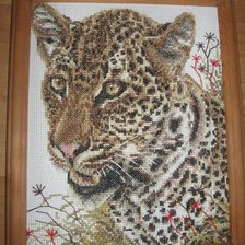 Работа «Леопард в траве»