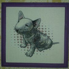 Работа «Щенок бультерьера»