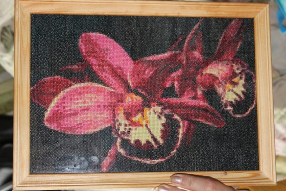 Работа «Орхидеи!!!»