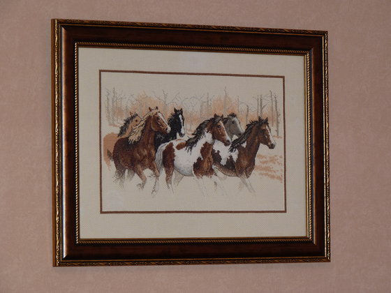 Работа «Dimensions Дикий прорыв (бегущие лошади)»