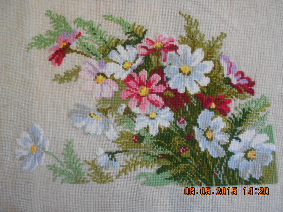 Работа «Космея  Риолис»