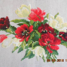 Работа «Тюльпаны Риолис»