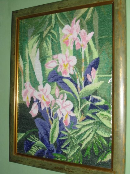 Работа «Орхидеи.»