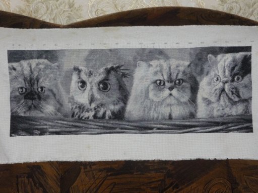 Работа «Чужой»