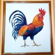 Работа «Галльский петух. Размер картины 54см * 51см»