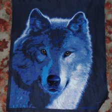 Работа «№41510»