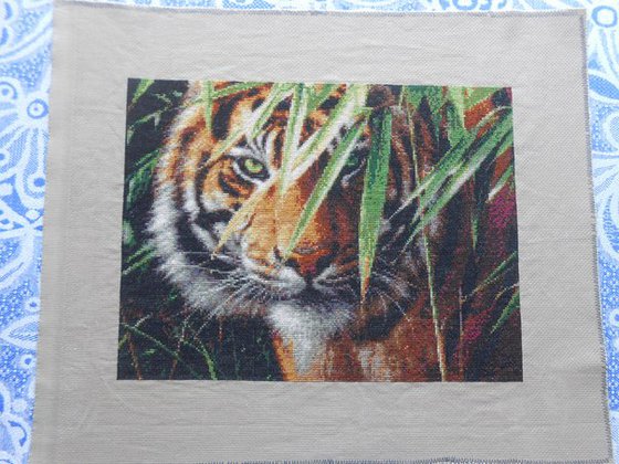 Работа «Ожидающий тигр.»